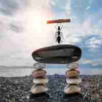 怎‍么​把​网‍页﻿变‌成‌文﻿件‌格‍式​